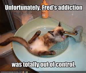 addict-funny_4629451806804022