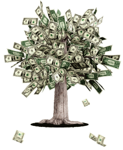 moneytree
