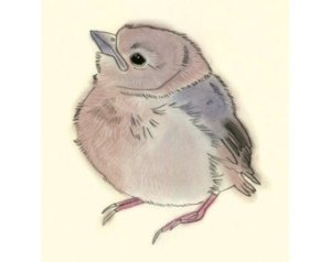 il_340x270.529381218_l4qm