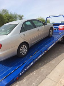 11752433_10206222696840415_3969932574497247769_n