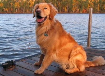 17264811_10210450952442342_4921562558907777139_n