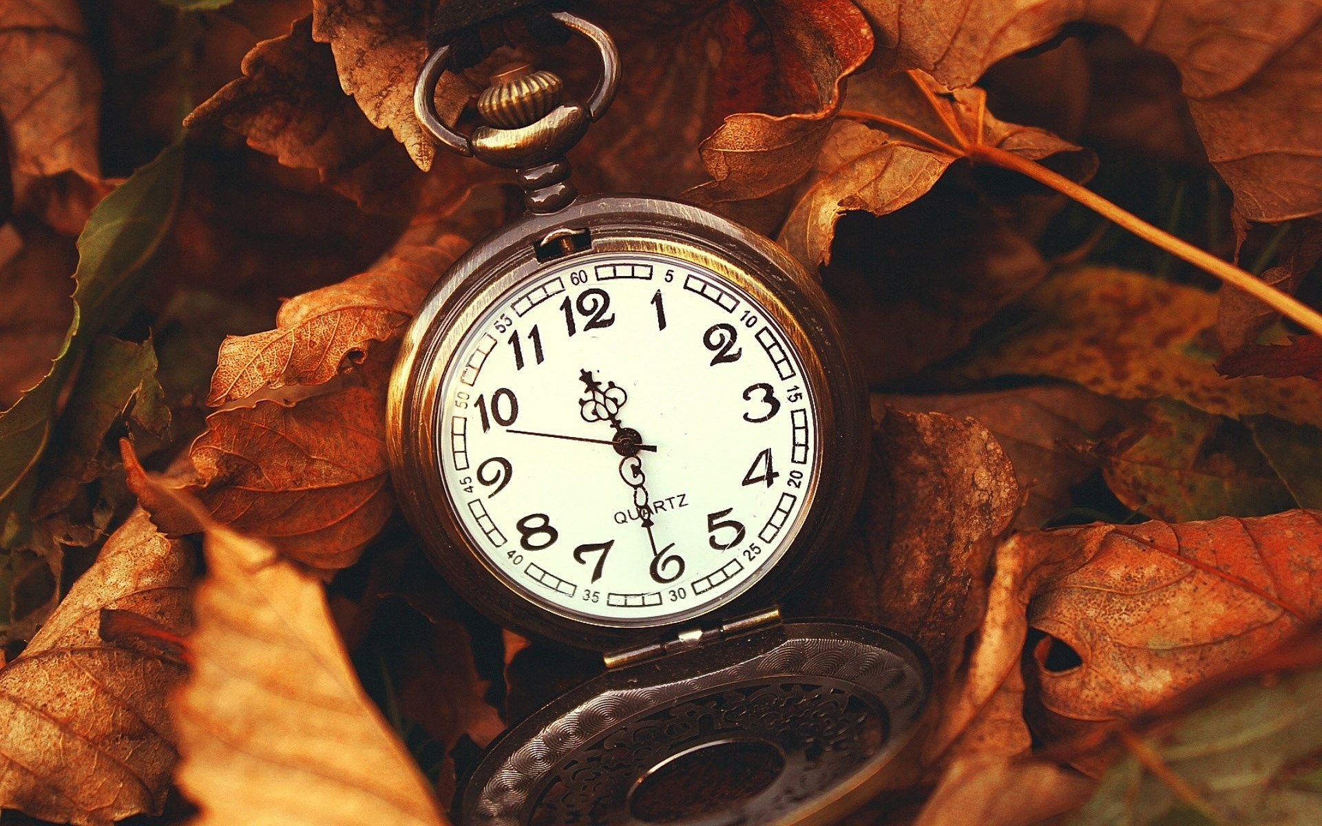 Break Time Fall Background Time for Fall Break | BulgingButtons